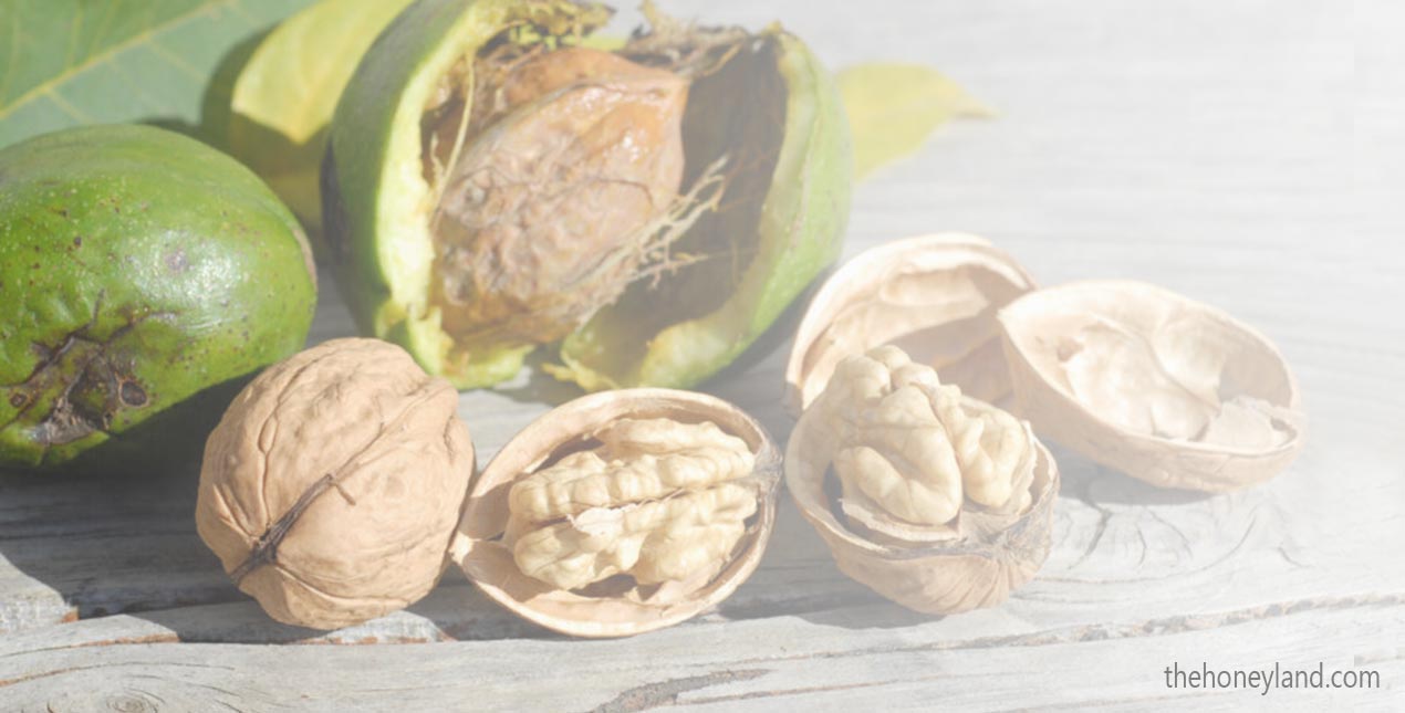 Noci biologiche italiane crude