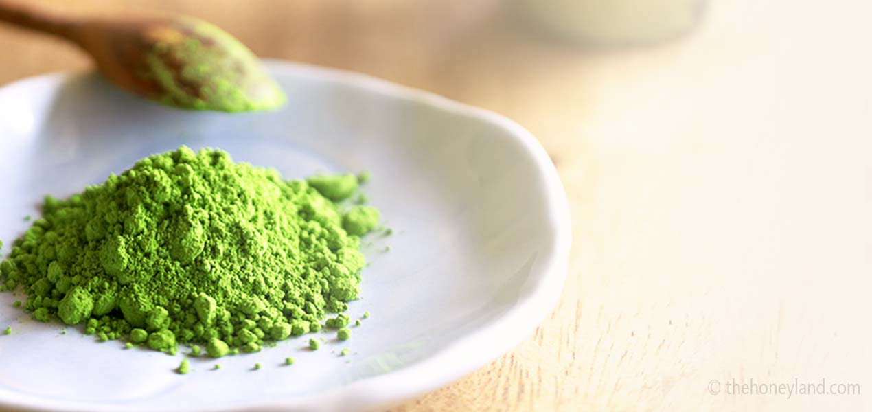 Tè Matcha biologico Giapponese