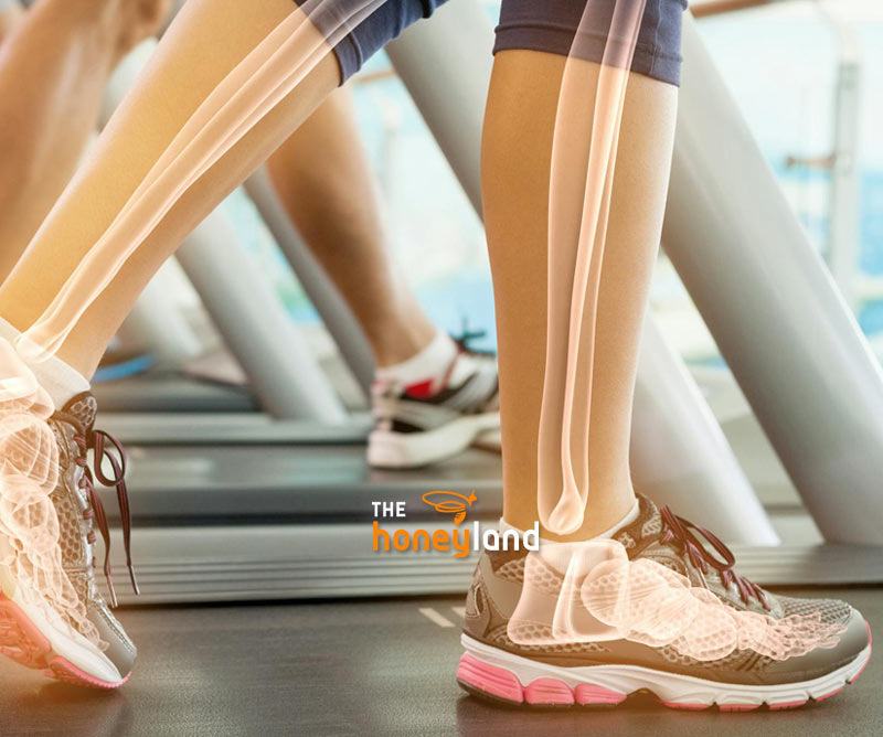 Ossa e articolazioni