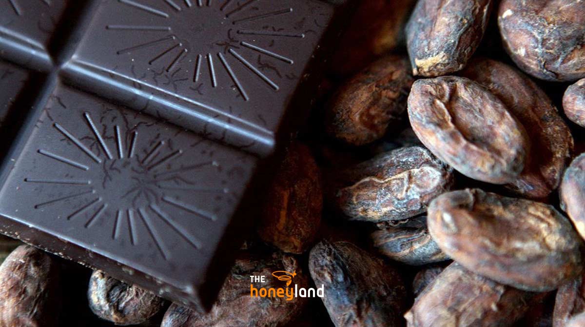 Cioccolato "bean to bar"