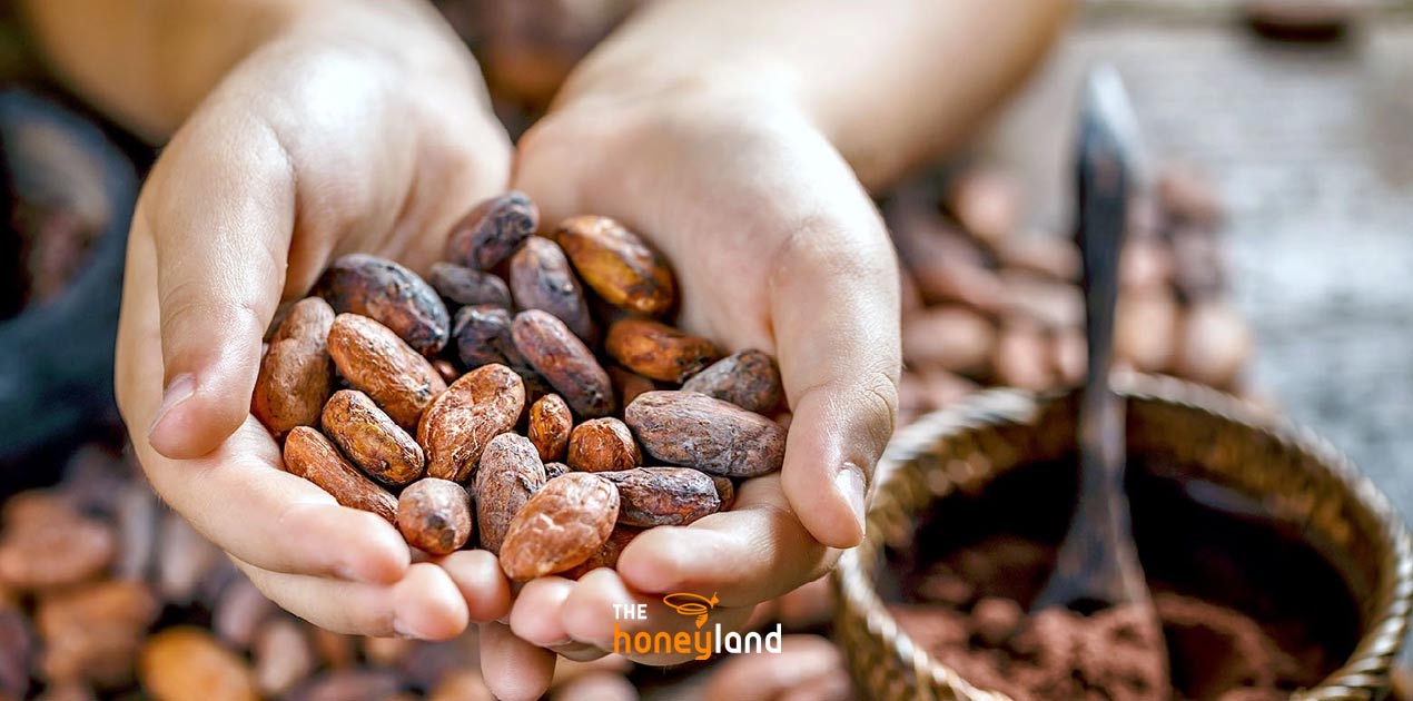 Fave di cacao biologiche