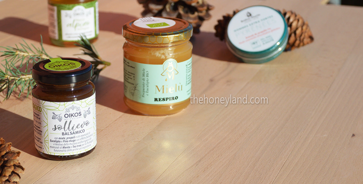 Miele balsamico biologico