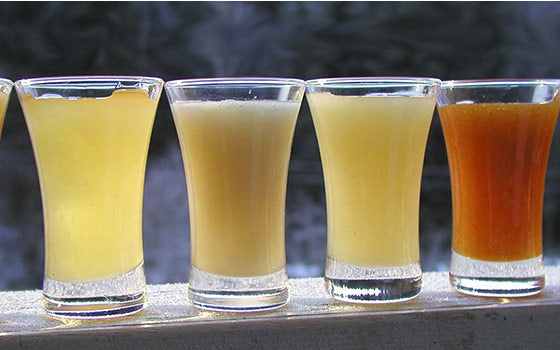 Mieli biologici 2025 TheHoneyland