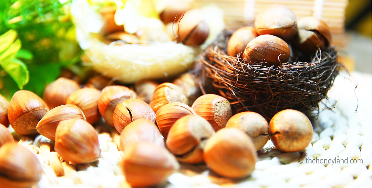 Nocciole biologiche italiane