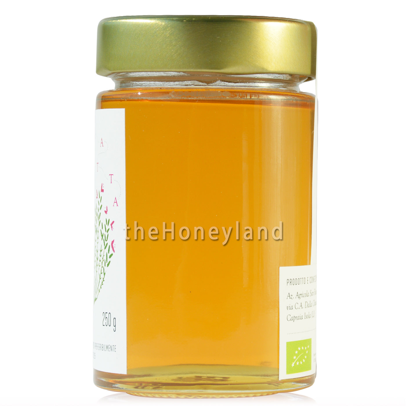 Miele di camedrio (erba gatta) biologico di Capraia