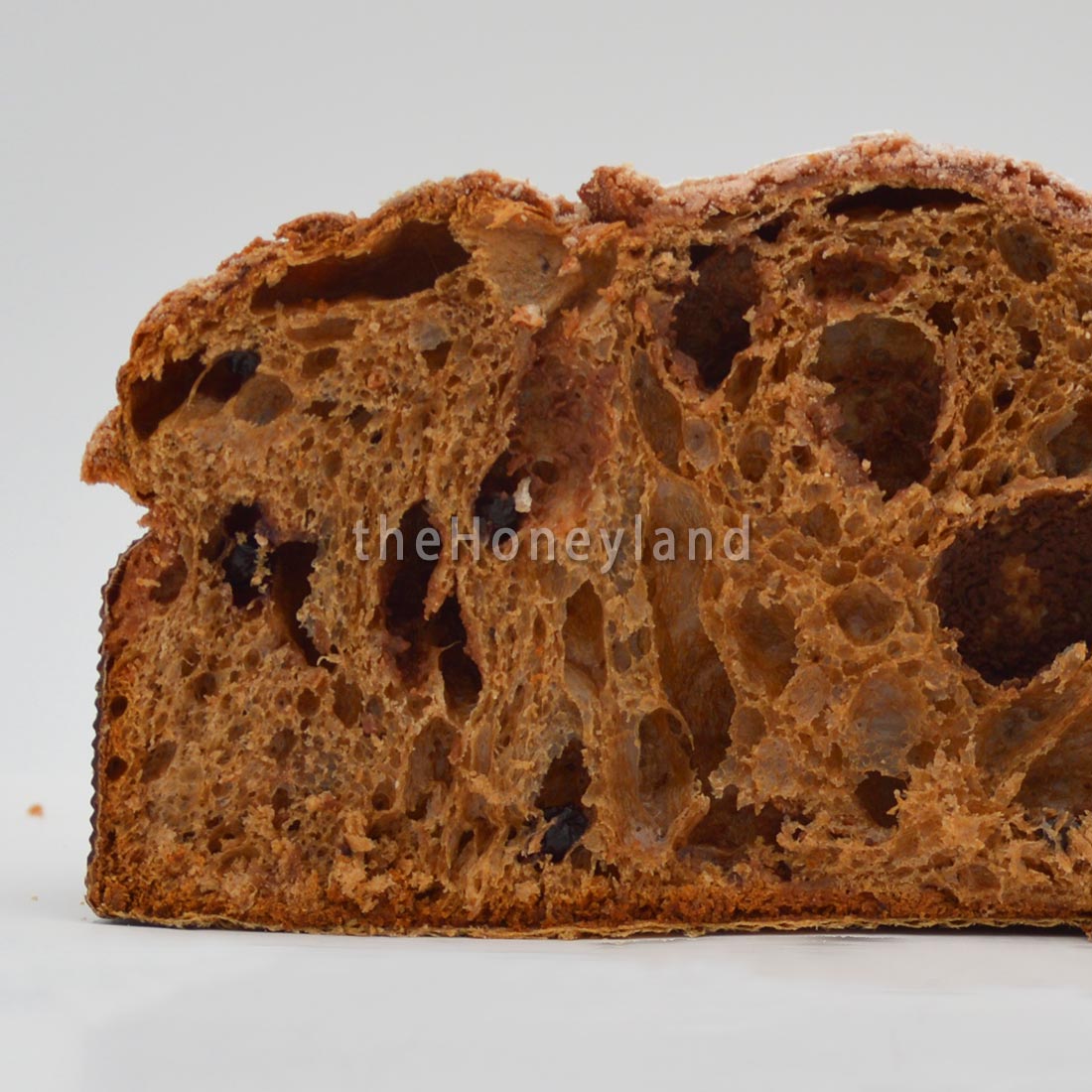 Dark chocolate and wild blueberry dove - 100% artisanal