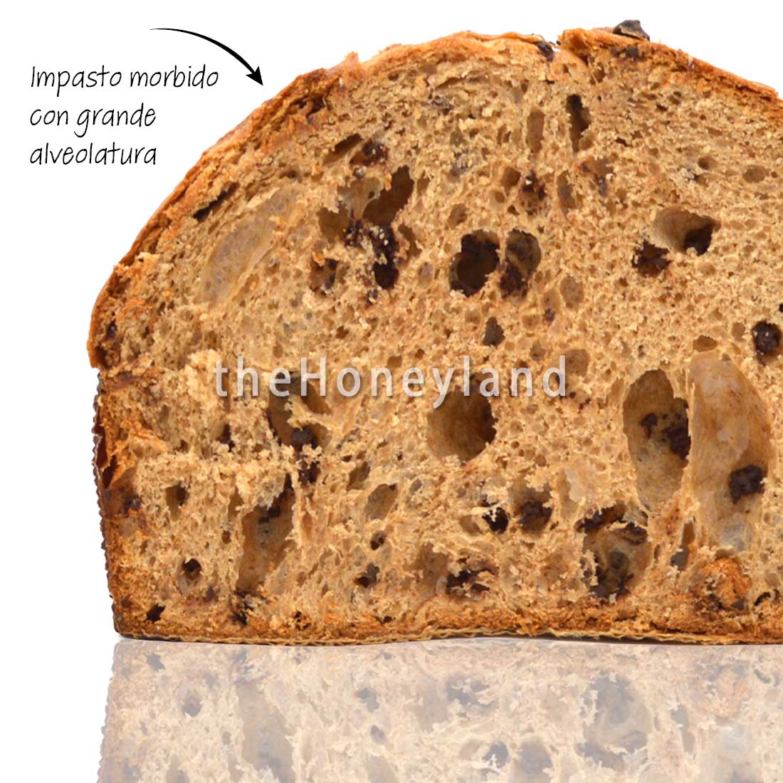 Panettone artigianale biologico Gianduja TheHoneyland
