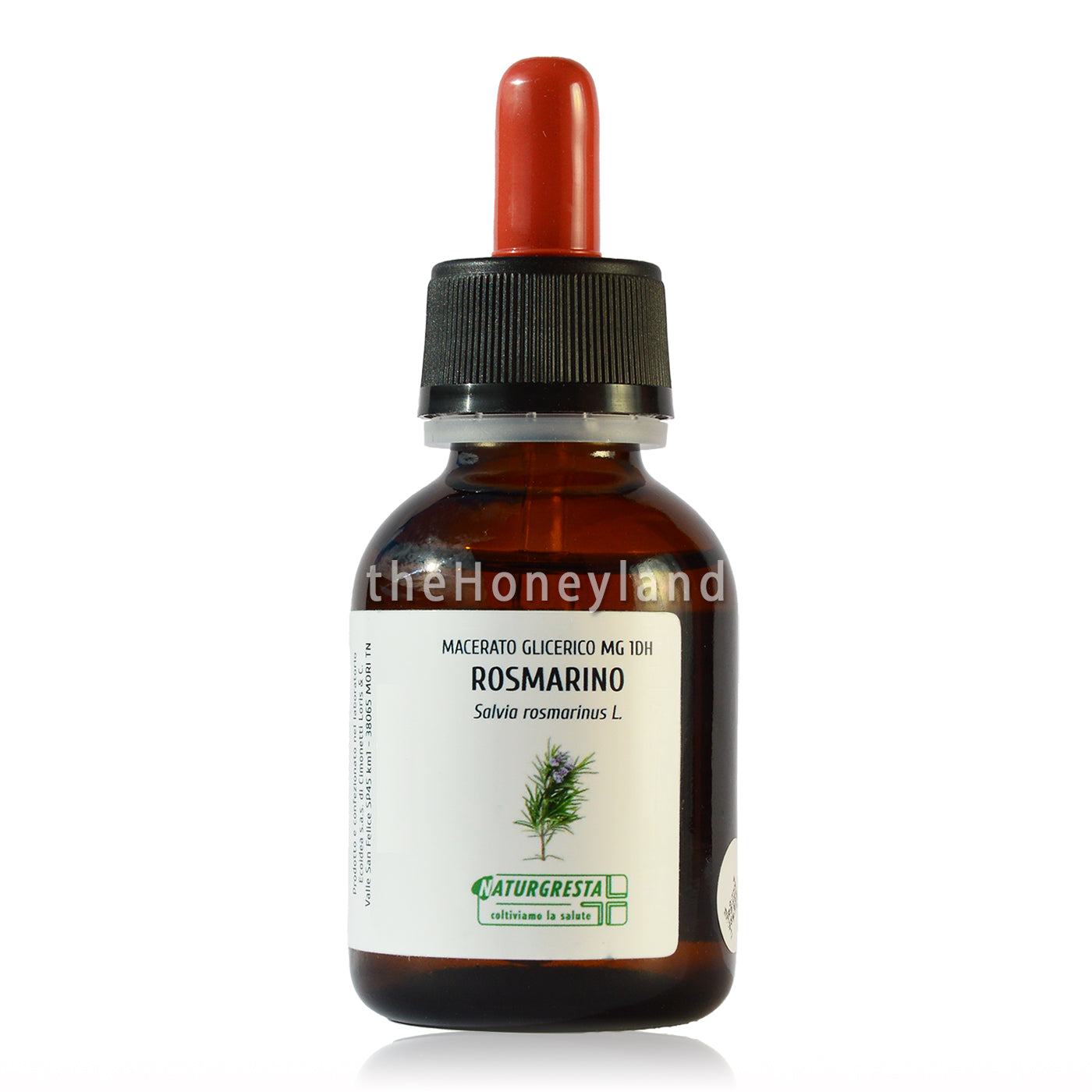 Gemmoderivato di Rosmarino biologico