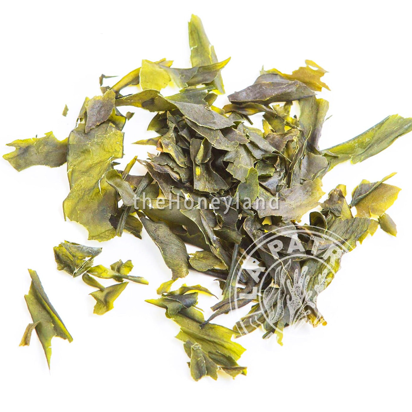 Organic dehydrated Kombu seaweed from Galicia