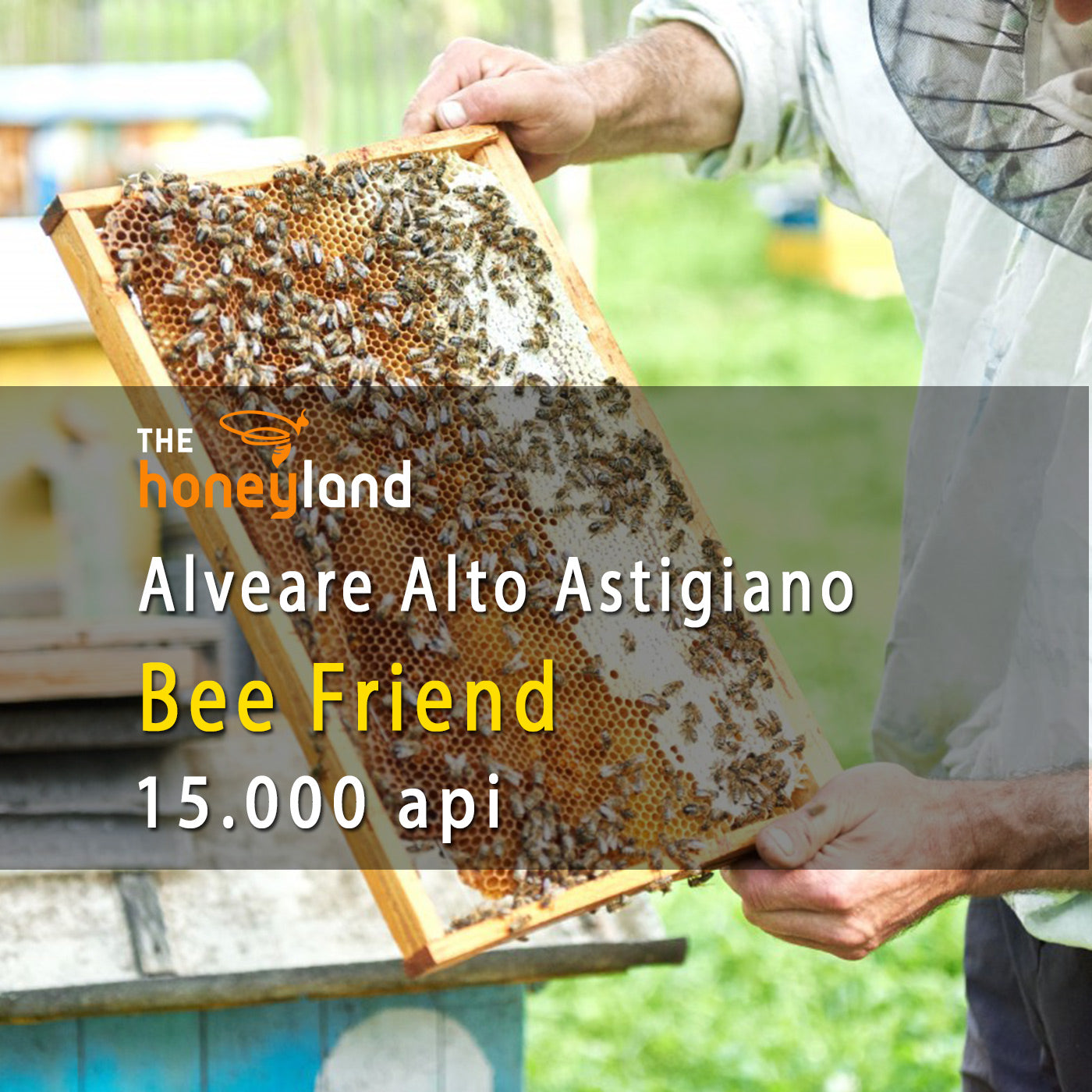 Bee Friend - adotta alveare Piemonte Albero della Vita 2024
