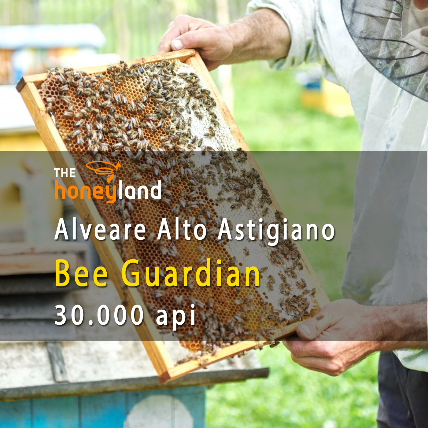 Bee Guardian - adotta alveare Piemonte Albero della Vita 2026