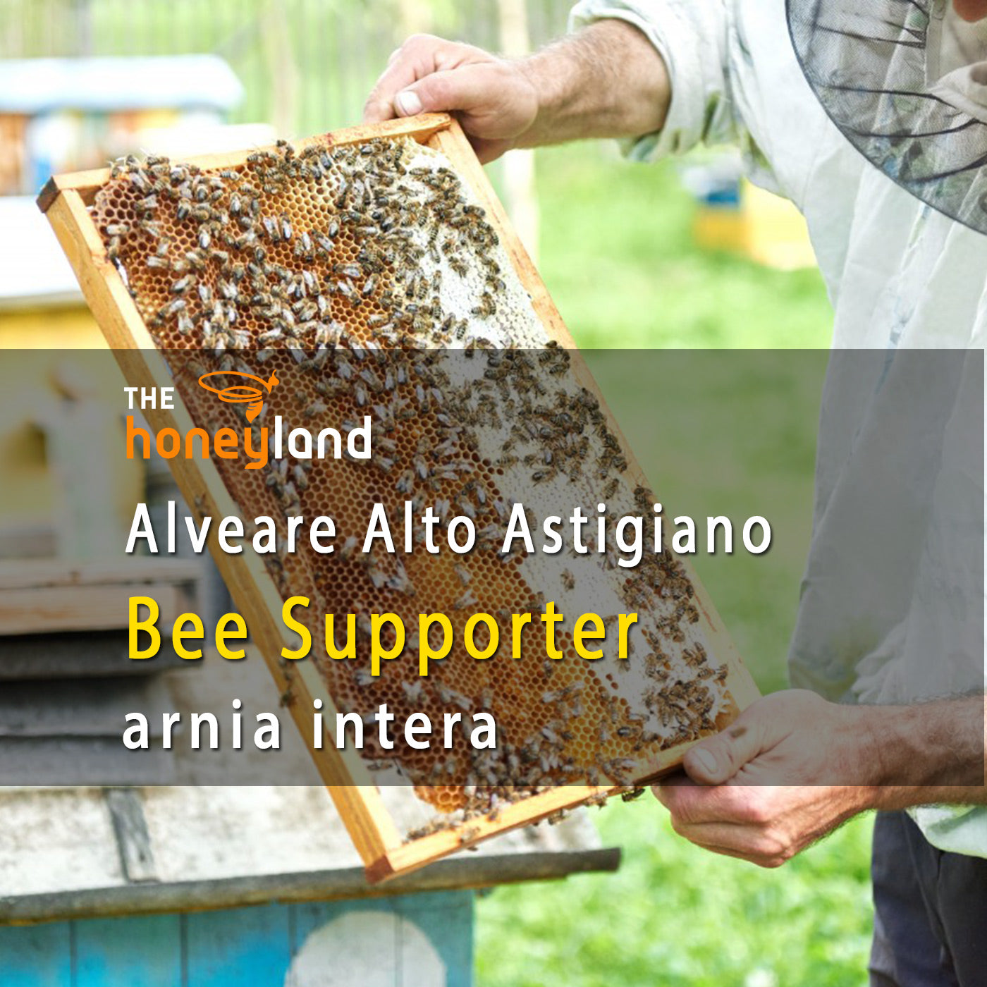 Bee Supporter - adotta arnia intera Piemonte Albero della Vita 2024