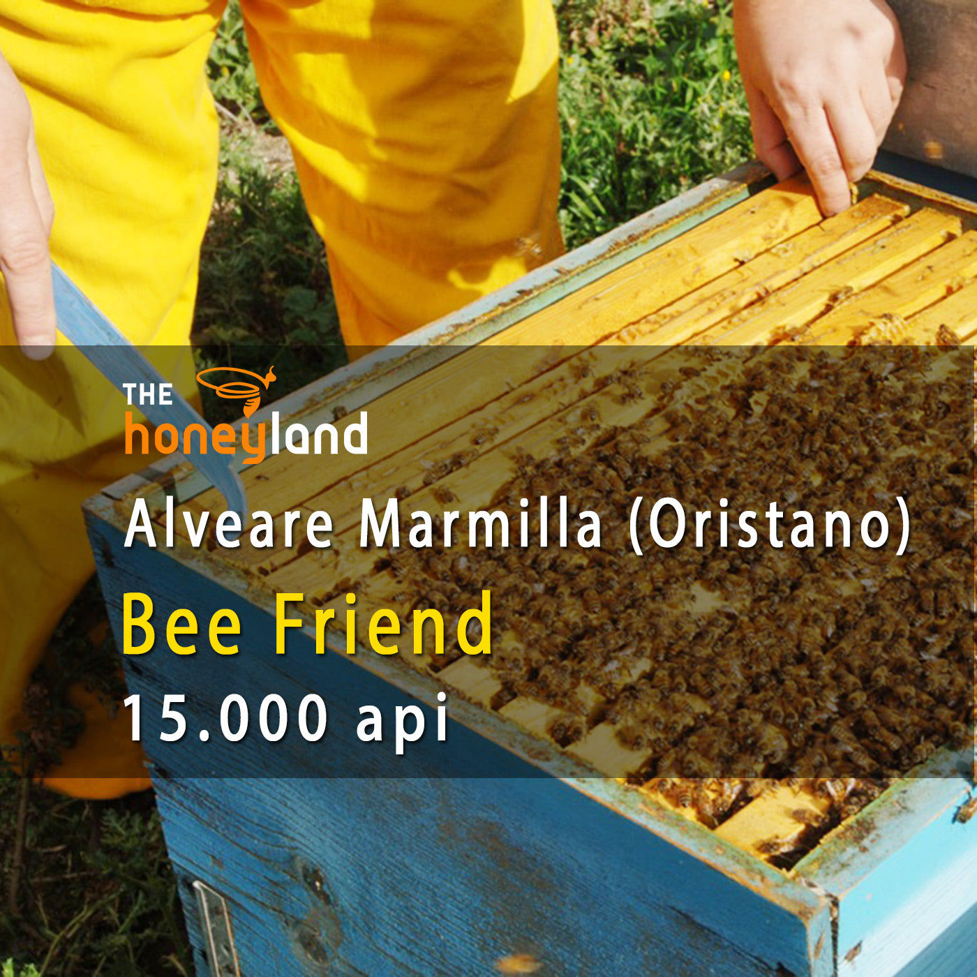 Bee Friend - adotta alveare Sardegna di Mieli Manias 2026