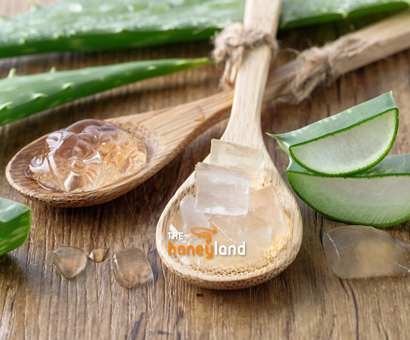 Aloe Vera bio Fresca non pastorizzata