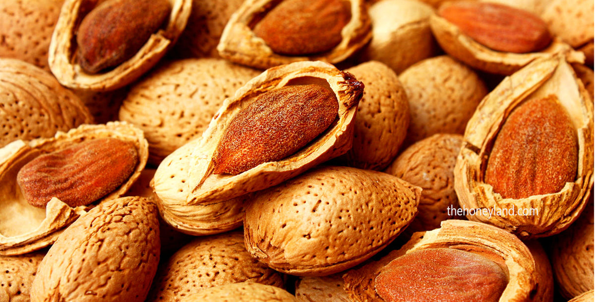 Organic Almonds from Italy