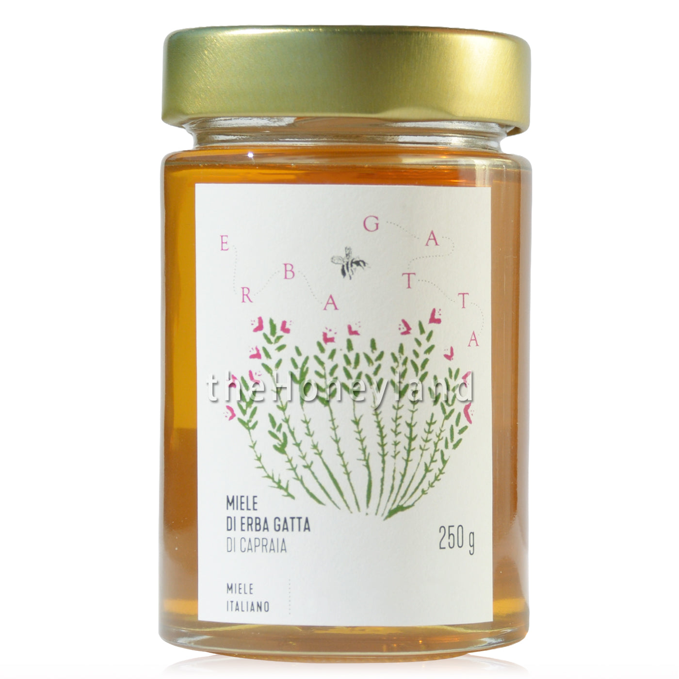 Organic camedrio (catnip) honey from Capraia