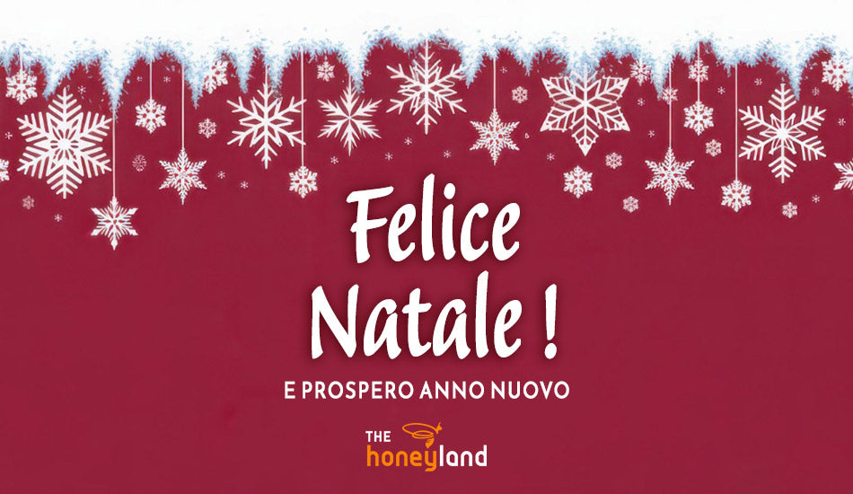Natale - Buono regalo TheHoneyland da spendere online