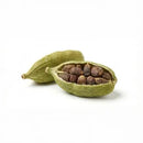 Cardamomo