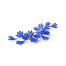 Fiordaliso