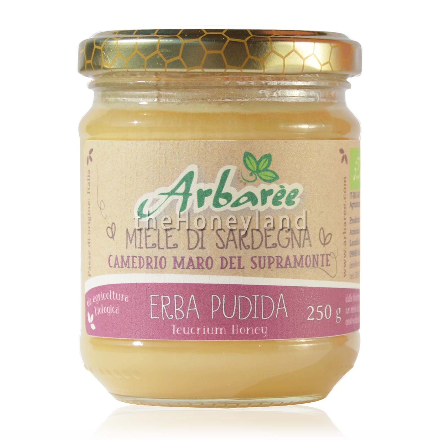 Miele di camedrio biologico del Supramonte (Sardegna)
