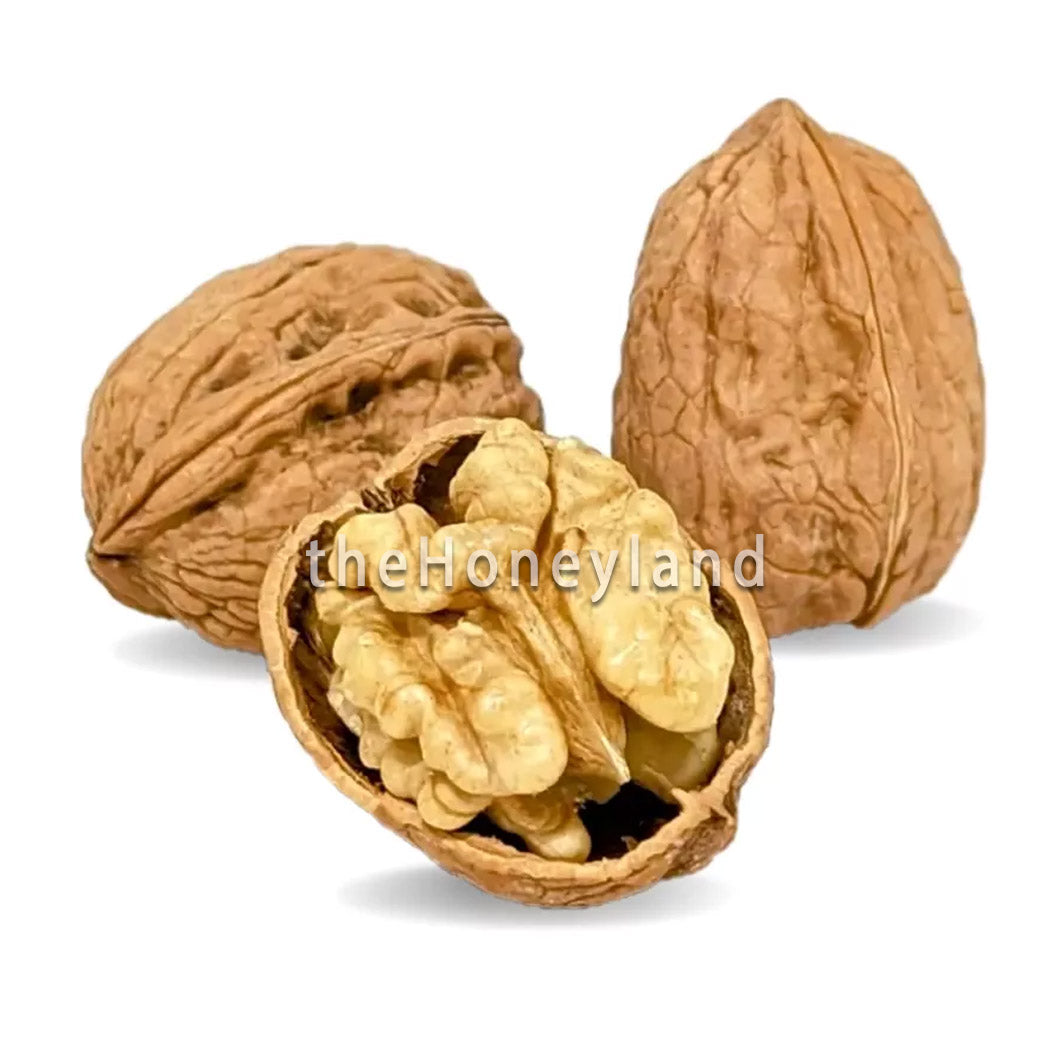 Franquette organic walnuts AOP Grenoble