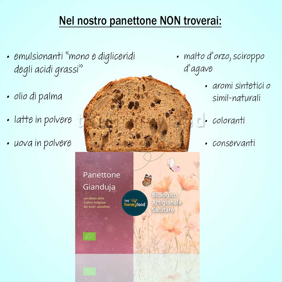 Panettone artigianale biologico TheHoneyland