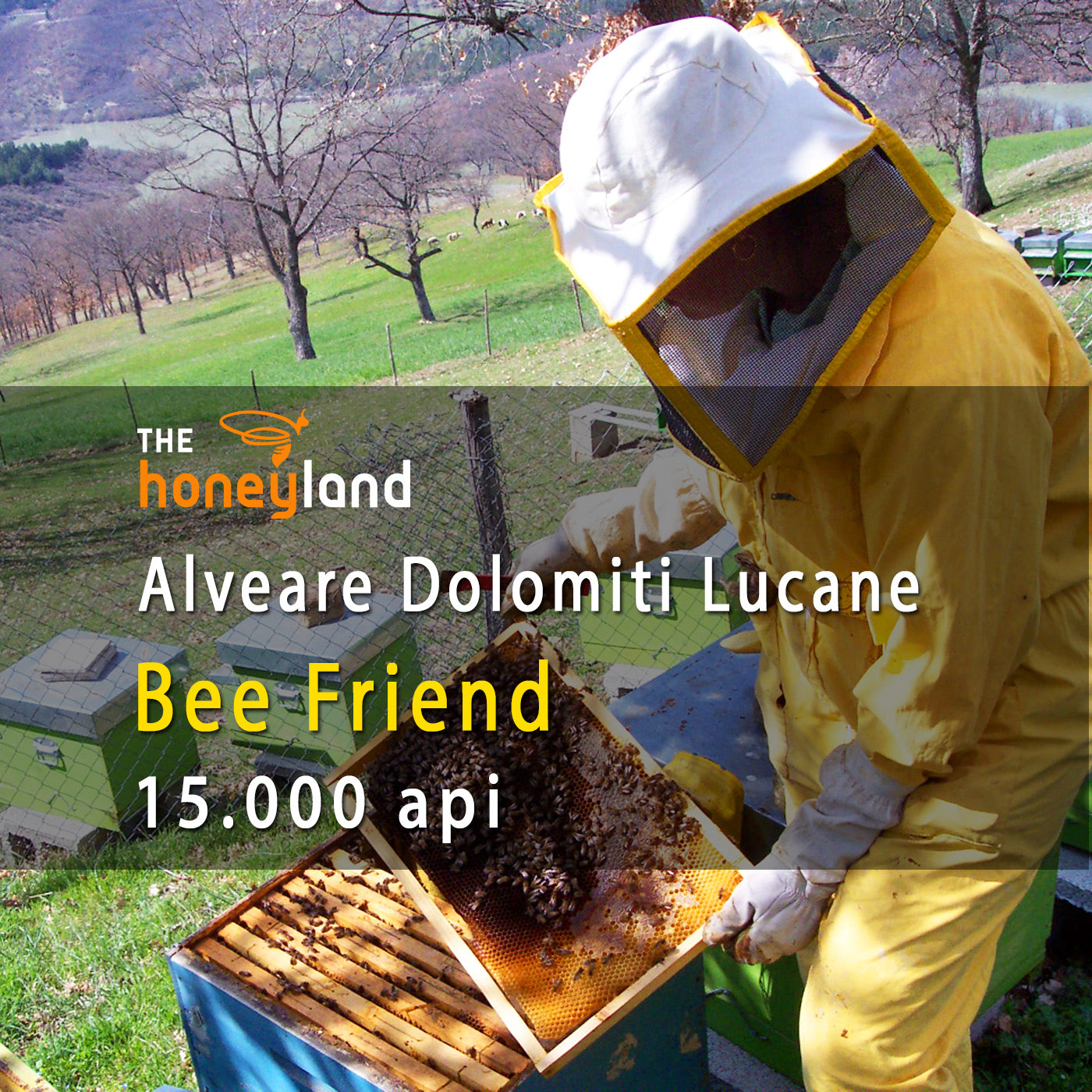Bee Friend - adotta alveare Basilicata di Vallenatale 2024