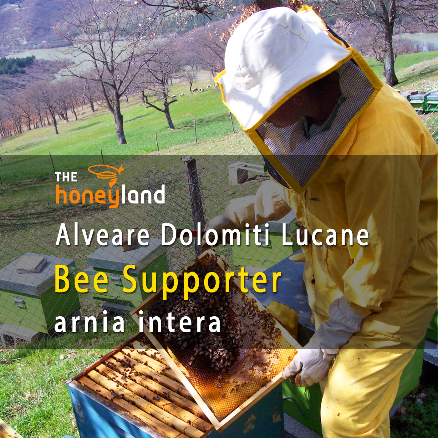 Bee Supporter - adotta alveare intero Basilicata di Vallenatale 2024