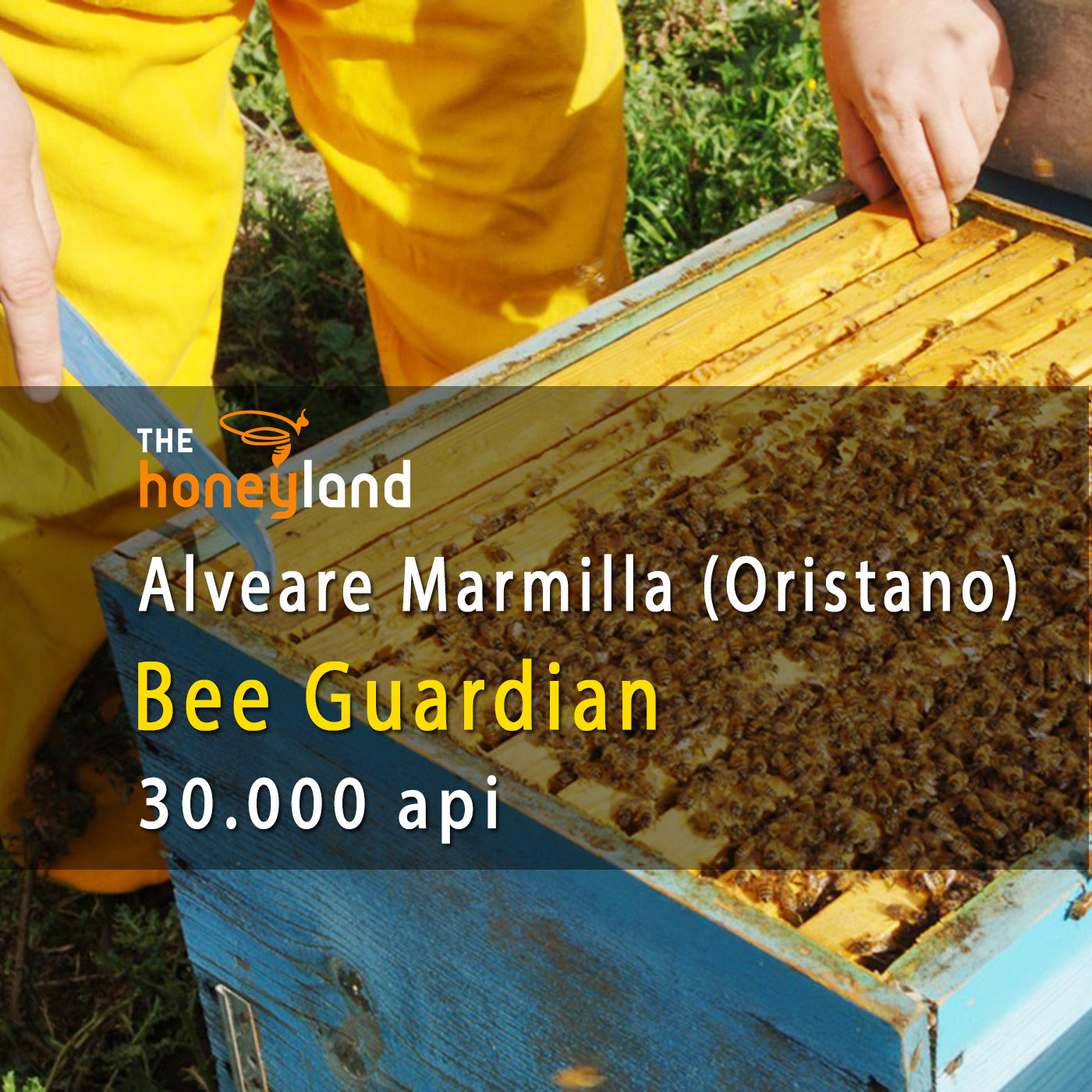 Bee Guardian - adotta alveare Sardegna di Mieli Manias 2024