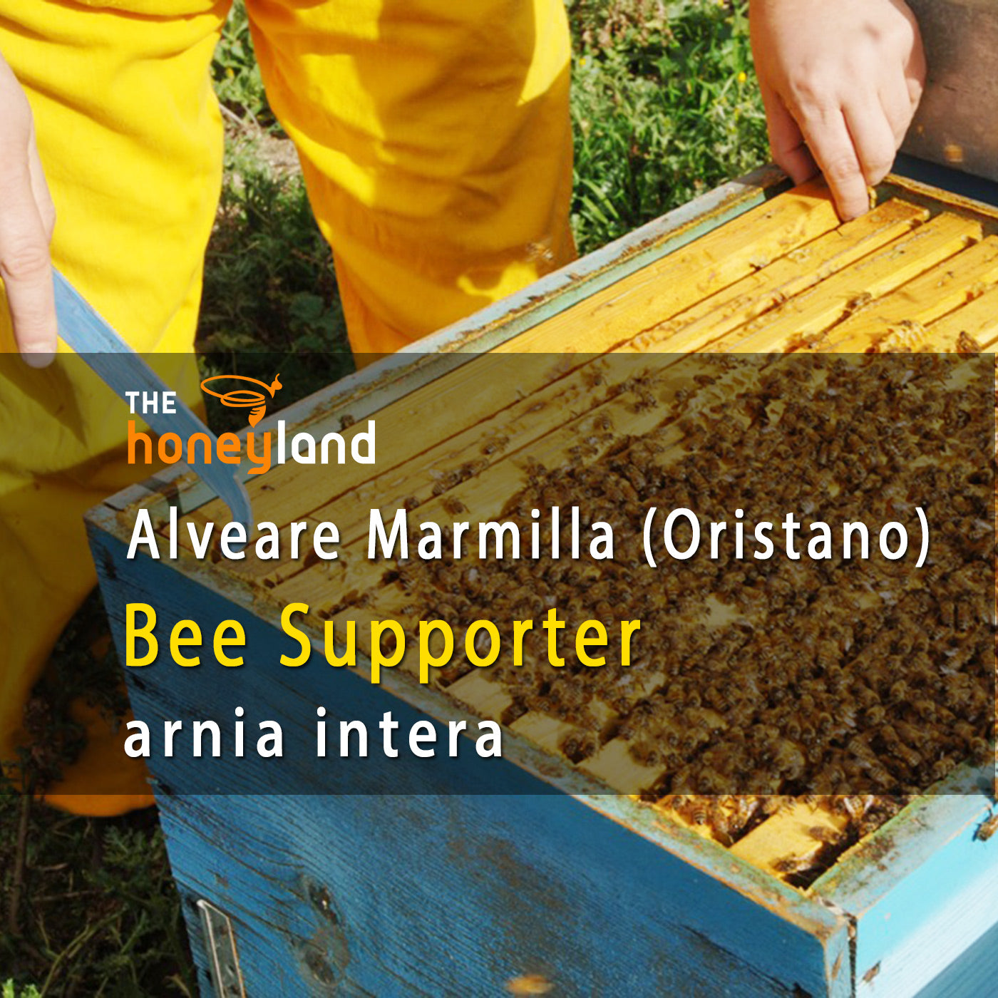 Bee Supporter - adotta arnia intera Sardegna di Mieli Manias 2024