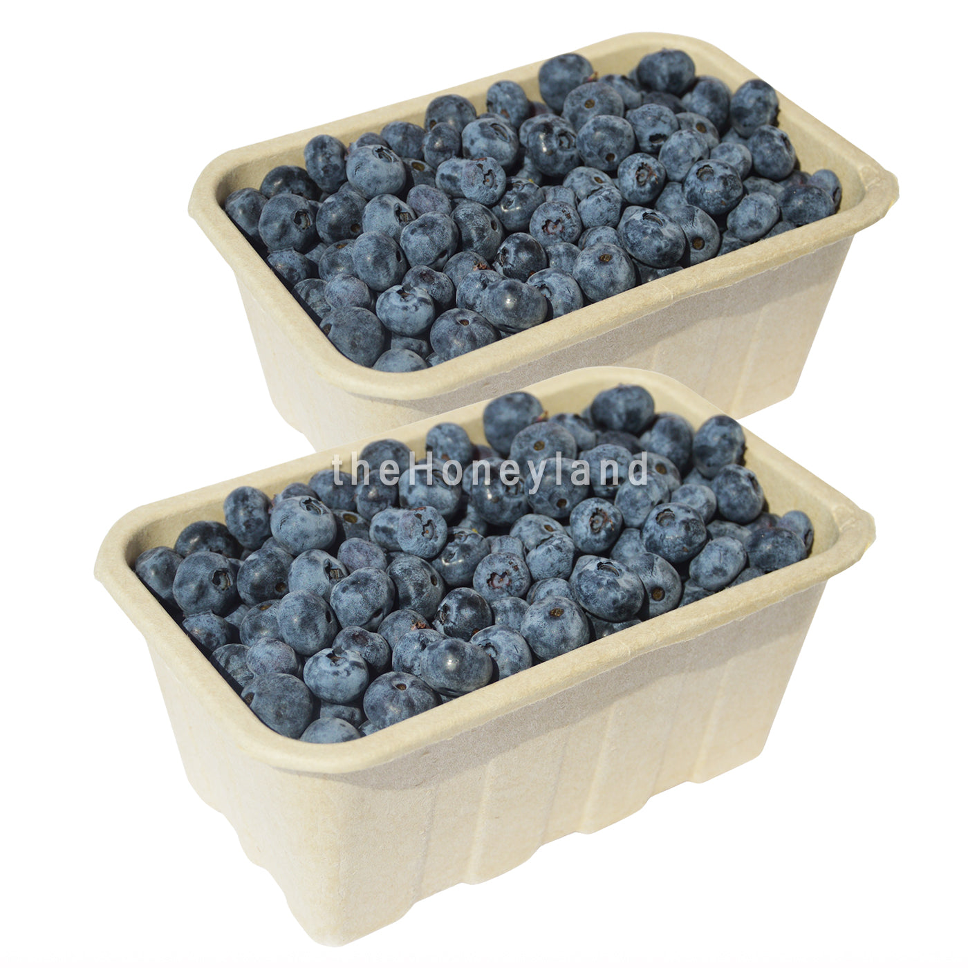 Fresh organic blueberries Collina Morenica (Piedmont)